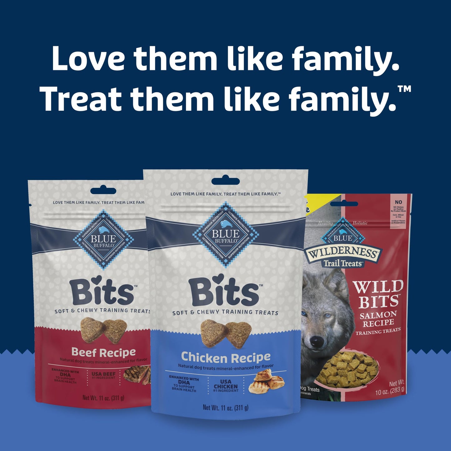 Blue Buffalo Bits Soft Dog Treats for Training, Made with Natural Ingredients & Enhanced with DHA, Beef Recipe, 19-oz Bag