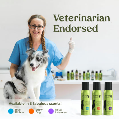 PAWFUME Dog Perfume Spray for Grooming, Blue Ribbon, 1-Pack – Keep Your Pup Fresh All Day – Probiotic, Alcohol-Free, Detangling & Moisturizing – Salon-Quality Dog Spray Deodorizer Perfume