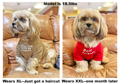 Cute Dog Clothes,Dog T Shirt for Medium Dogs, Small Dogs Girl Boy,Puppy.Breathable Soft Dog Costume Pet Dogs Cats,Pet Pullover Jumper,Cat Clothes (S-(4~8lb), Chest~14", Khaki)