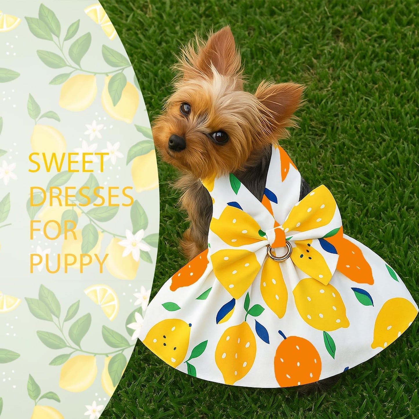 Dog Dress Bowknot Harness Leash Set for Small Girl Dogs Pink Floral Dog Cat Clothes Cute Puppy Outfits Pet Clothes Spring Summer Breathable Dresses(Samll)