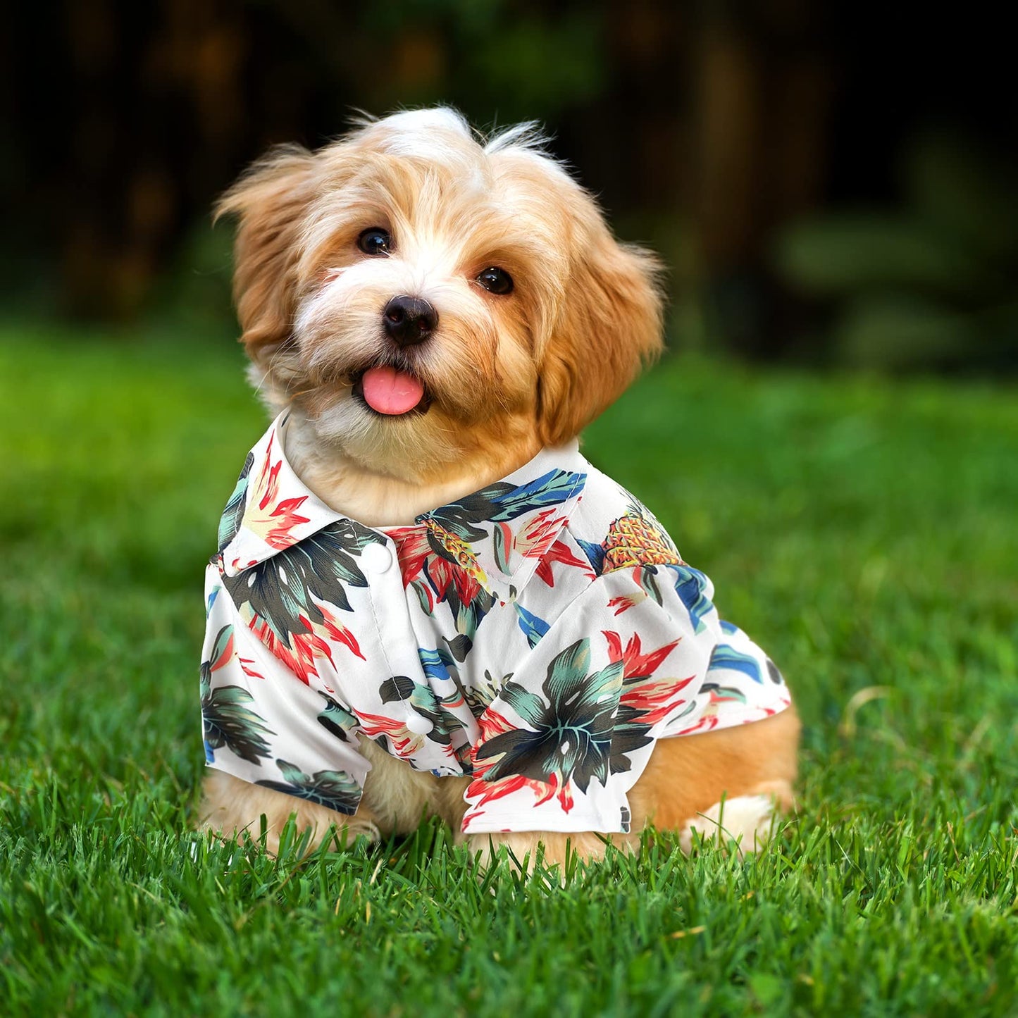 Weewooday 4 Pieces Small Pet Summer T-Shirts Hawaii Style Floral Pet Dog Shirt Breathable Cool Clothes Beach Seaside Puppy Sweatshirt for Puppy(Floral Style,Medium)