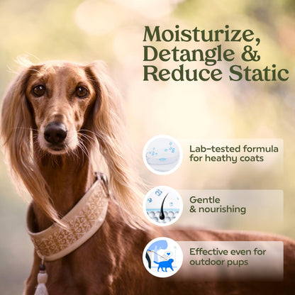 PAWFUME Dog Perfume Spray for Grooming, Blue Ribbon, 1-Pack – Keep Your Pup Fresh All Day – Probiotic, Alcohol-Free, Detangling & Moisturizing – Salon-Quality Dog Spray Deodorizer Perfume