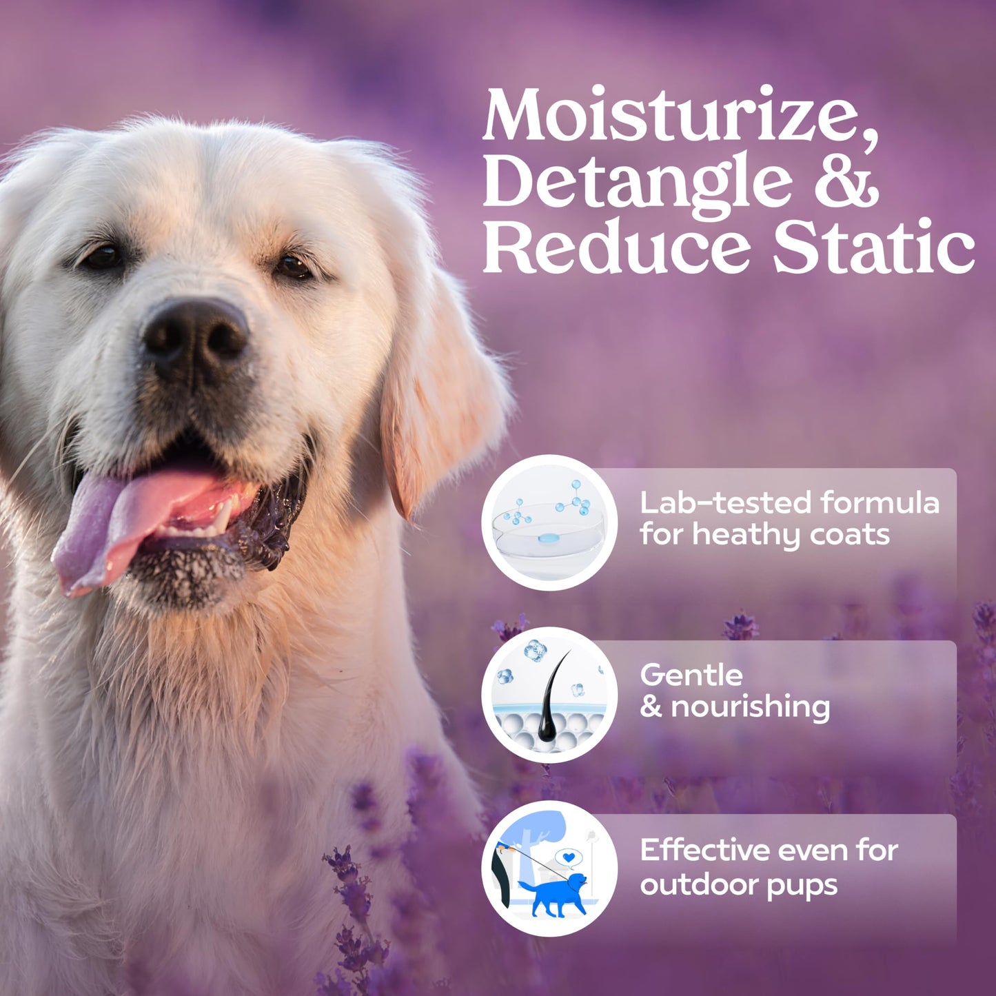 PAWFUME Dog Perfume Spray for Grooming, Blue Ribbon, 1-Pack – Keep Your Pup Fresh All Day – Probiotic, Alcohol-Free, Detangling & Moisturizing – Salon-Quality Dog Spray Deodorizer Perfume