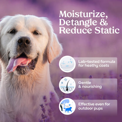 PAWFUME Dog Perfume Spray for Grooming, Blue Ribbon, 1-Pack – Keep Your Pup Fresh All Day – Probiotic, Alcohol-Free, Detangling & Moisturizing – Salon-Quality Dog Spray Deodorizer Perfume