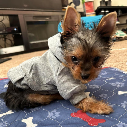 Jecikelon Winter Dog Hoodie Sweatshirts with Pockets Warm Dog Clothes for Small Dogs Chihuahua Coat Clothing Puppy Cat Custume (Coffee, Small)