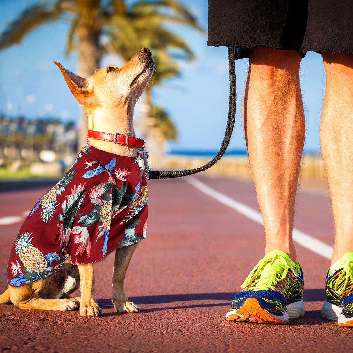 Weewooday 4 Pieces Small Pet Summer T-Shirts Hawaii Style Floral Pet Dog Shirt Breathable Cool Clothes Beach Seaside Puppy Sweatshirt for Puppy(Floral Style,Medium)