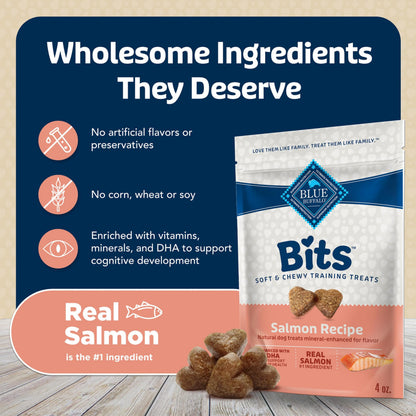 Blue Buffalo Bits Soft Dog Treats for Training, Made with Natural Ingredients & Enhanced with DHA, Beef Recipe, 19-oz Bag