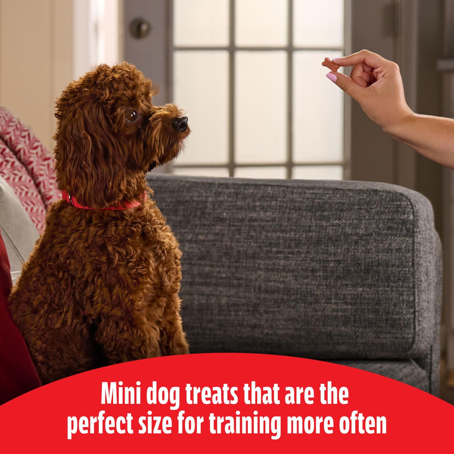 Milk-Bone Soft & Chewy Dog Treats, Beef & Filet Mignon Recipe, 25 Ounce
