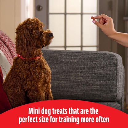 Milk-Bone Soft & Chewy Dog Treats, Beef & Filet Mignon Recipe, 25 Ounce