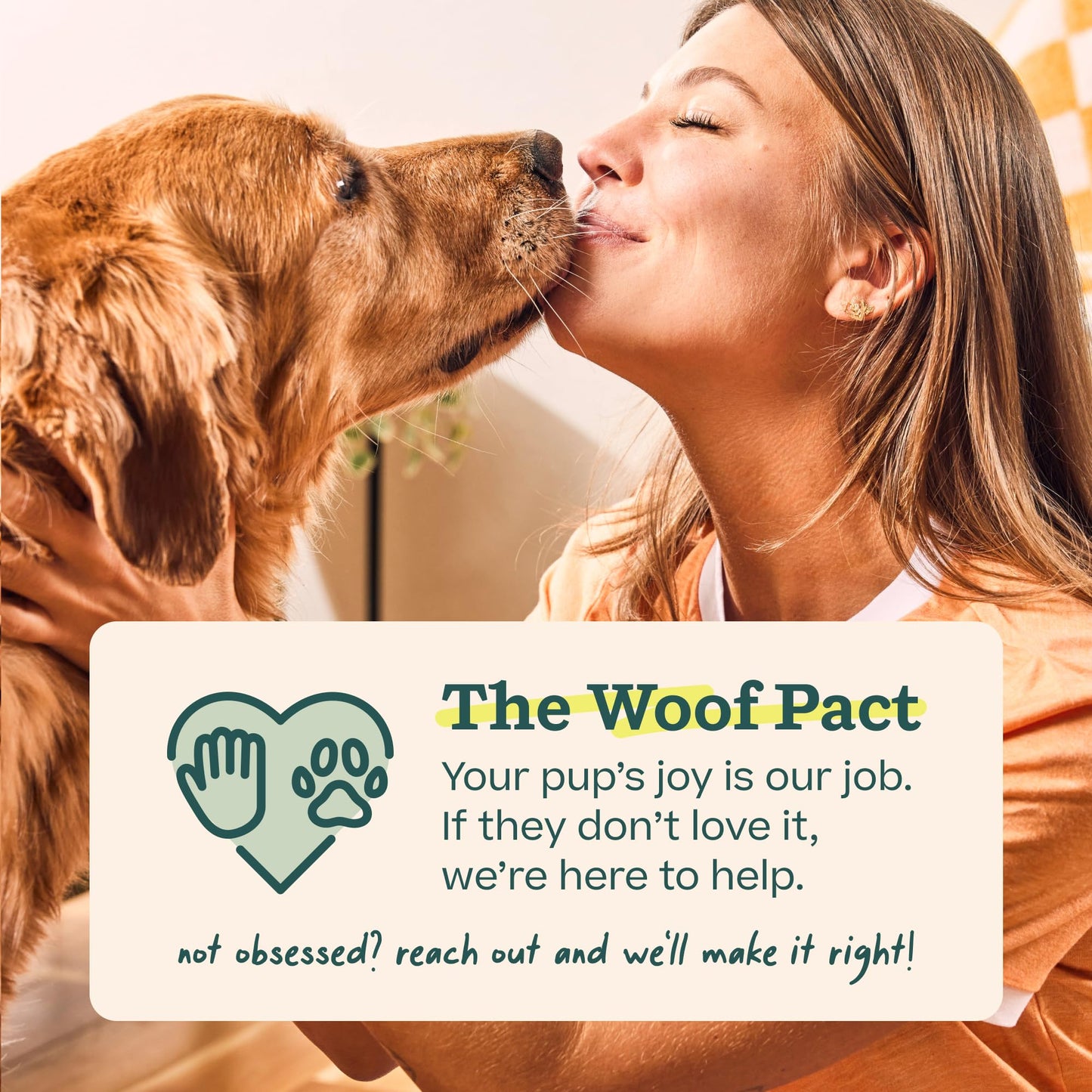 WOOF Starter Pack - Interactive Dog Ball Toy for Boredom - Dog Treat Molds Silicone - Chicken-Flavored Healthy Treats for Dogs - Pupsicle Doggy Enrichment Toy - for Large Pups - 25-75 lbs