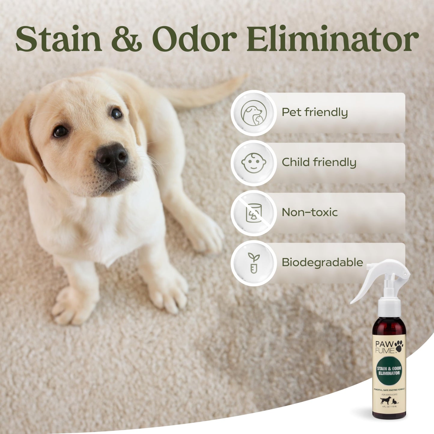 PAWFUME Dog Perfume Spray for Grooming, Blue Ribbon, 1-Pack – Keep Your Pup Fresh All Day – Probiotic, Alcohol-Free, Detangling & Moisturizing – Salon-Quality Dog Spray Deodorizer Perfume