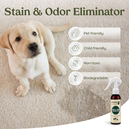 PAWFUME Dog Perfume Spray for Grooming, Blue Ribbon, 1-Pack – Keep Your Pup Fresh All Day – Probiotic, Alcohol-Free, Detangling & Moisturizing – Salon-Quality Dog Spray Deodorizer Perfume