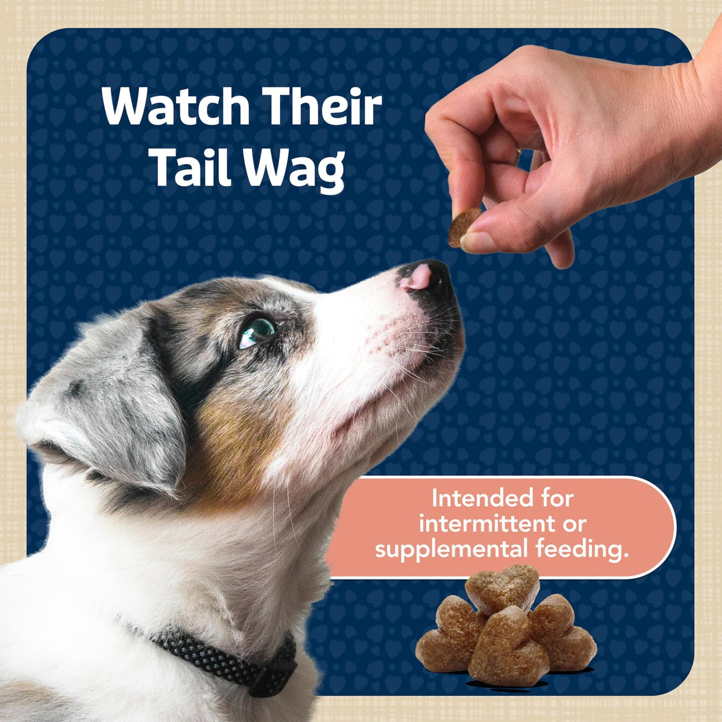 Blue Buffalo Bits Soft Dog Treats for Training, Made with Natural Ingredients & Enhanced with DHA, Beef Recipe, 19-oz Bag