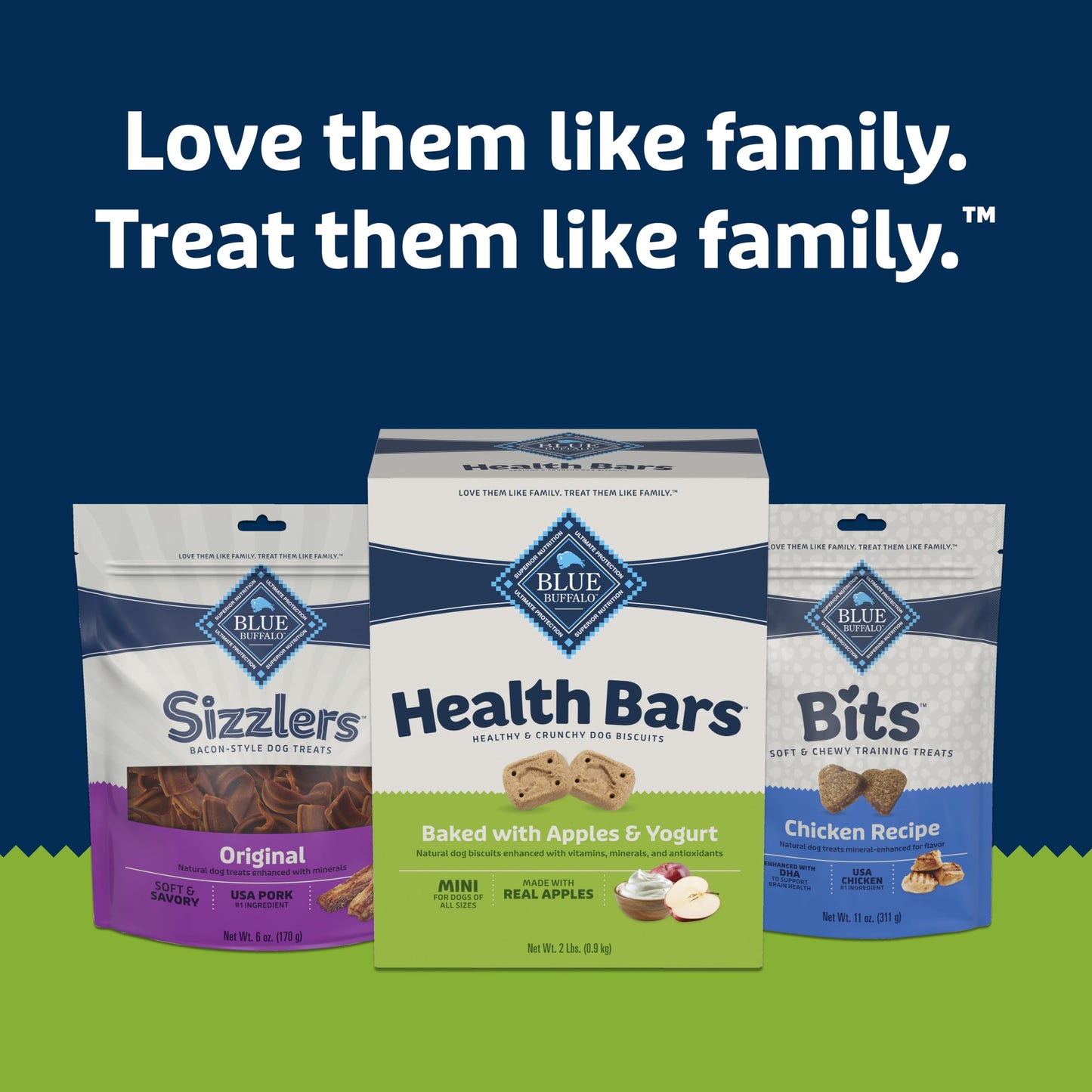 Blue Buffalo Health Bars Mini Crunchy Dog Biscuits, Oven-Baked with Natural Ingredients, Apples & Yogurt, 16-oz Bag