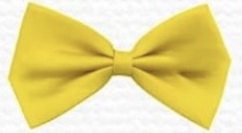 Custom Name Hair Bows