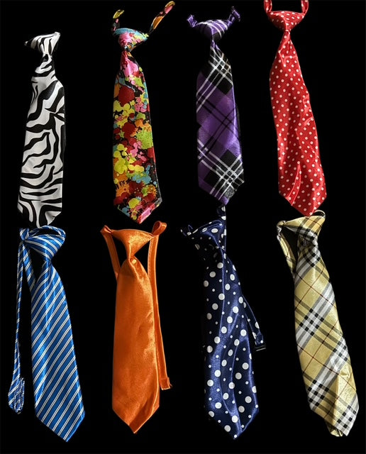 Custom Dog Ties